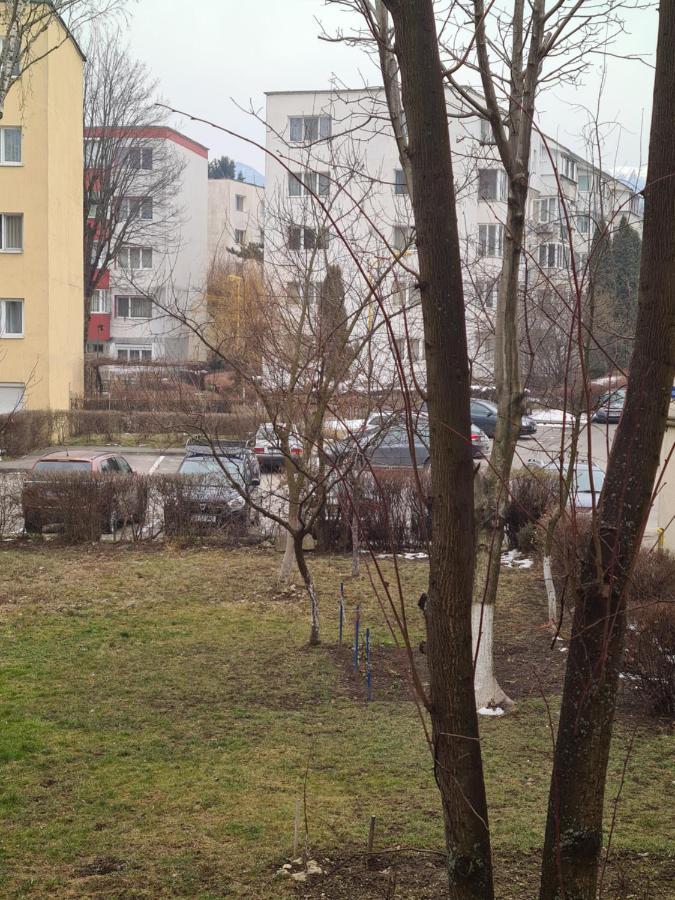 ZenApartment Braşov Buitenkant foto